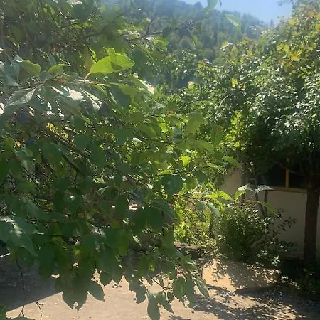 Eco La Vita E Bella Pensiune Treavna