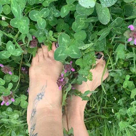 Eco La Vita E Bella