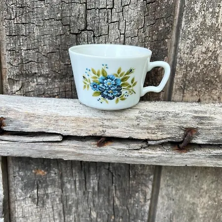 Eco La Vita E Bella Pensiune *