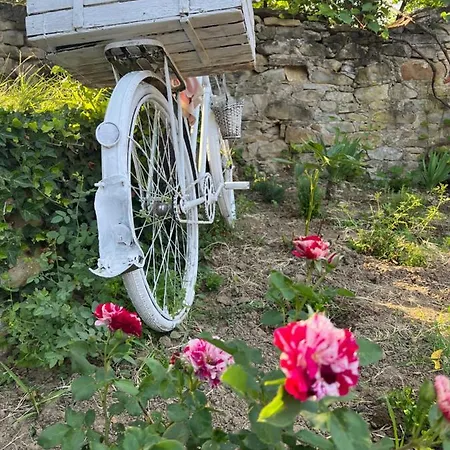 Eco La Vita E Bella Treavna
